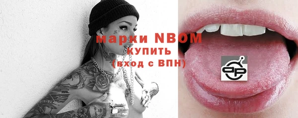 МДПВ Каменка